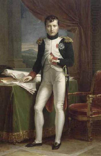 Francois Pascal Simon Gerard Portrait de Napoleon Ier en uniforme de colonel des grenadiers a pied de la Garde china oil painting image